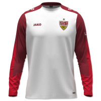 VfB Trainingslongsleeve 25/26 3XL