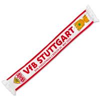 VfB Schal Pokalfinale