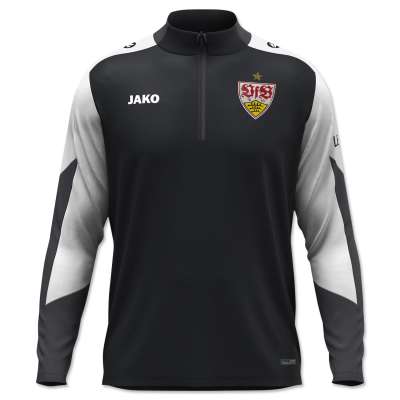 252634_VfB-