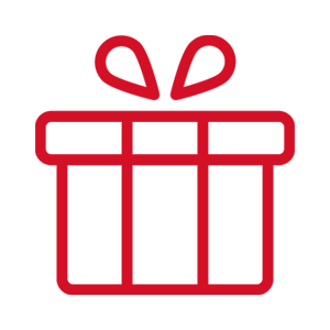 Geschenk_Icon_small